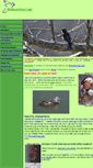 Mobile Screenshot of birdwatchinglady.com